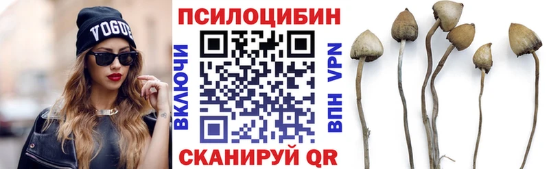 Галлюциногенные грибы Psilocybe  Тула 